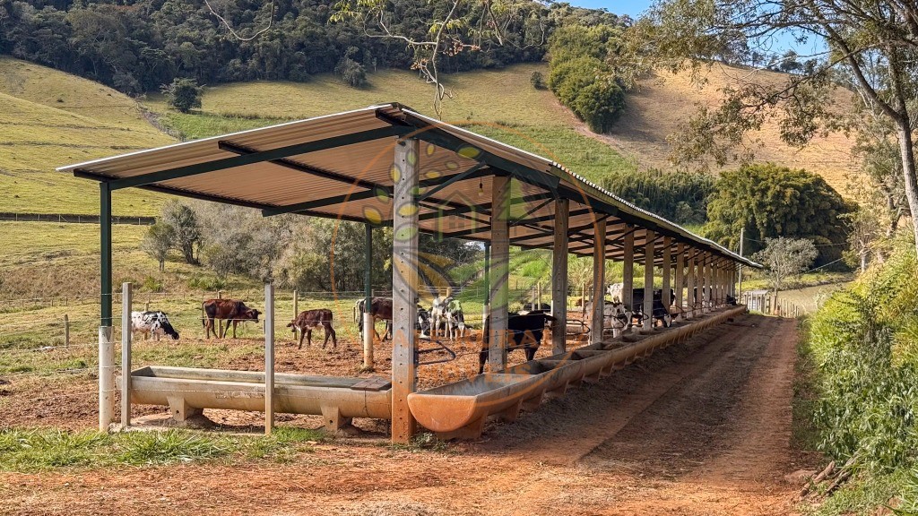 Fazenda, 4 quartos - Foto 72