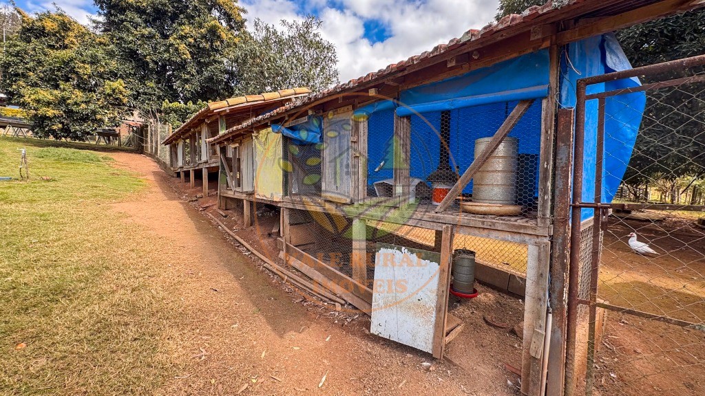 Fazenda, 4 quartos - Foto 157