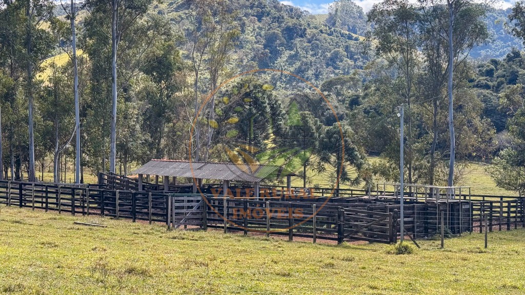 Fazenda, 4 quartos - Foto 75