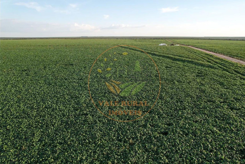 Fazenda - Foto 10