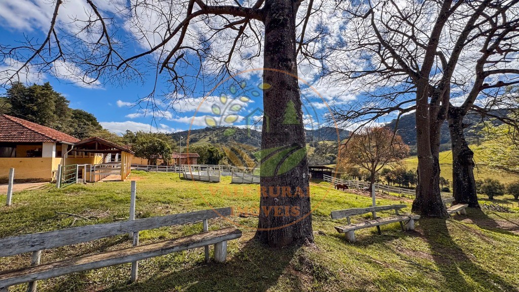 Fazenda, 4 quartos - Foto 9