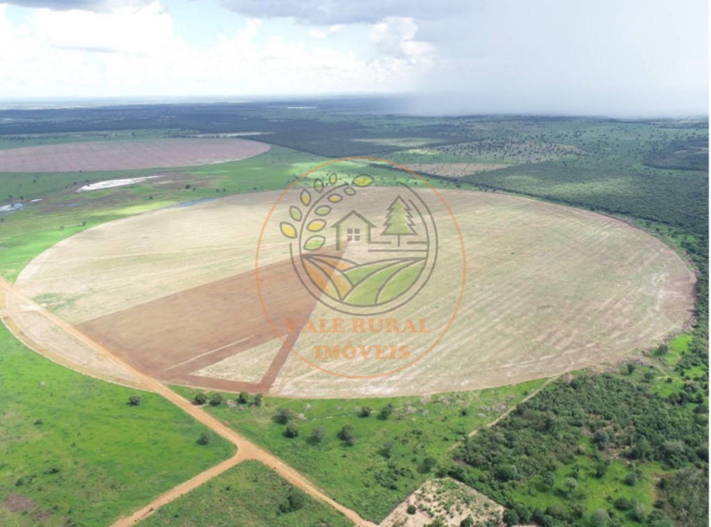 Fazenda - Foto 22