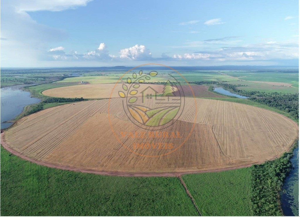 Fazenda - Foto 36
