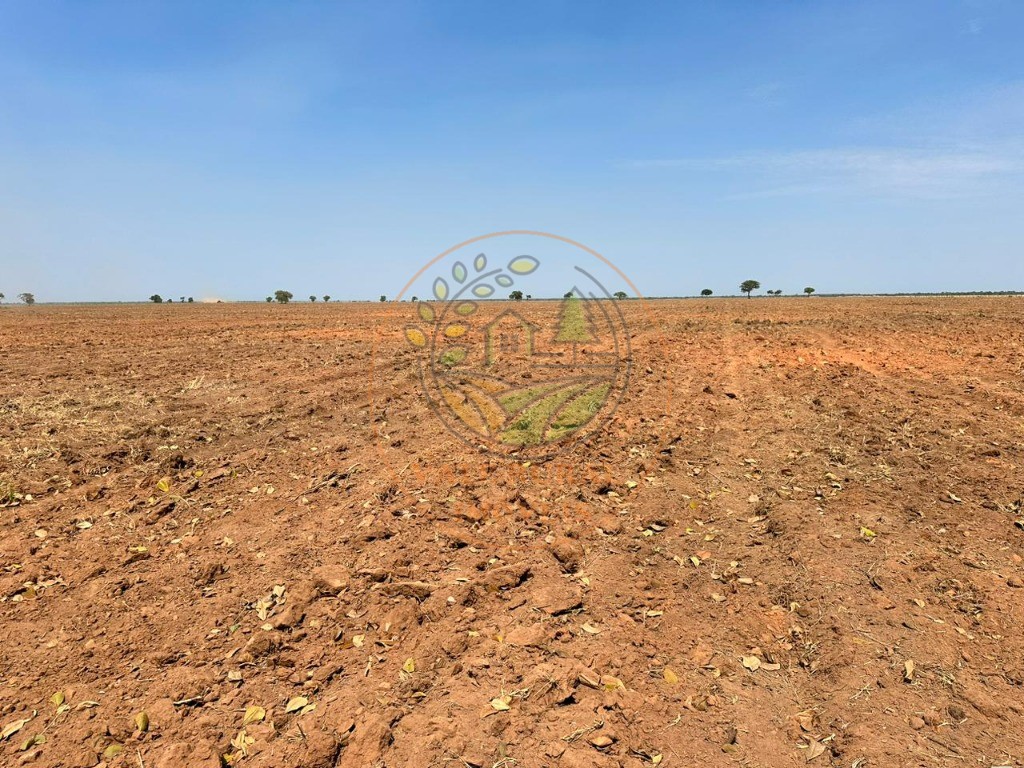 Fazenda - Foto 4