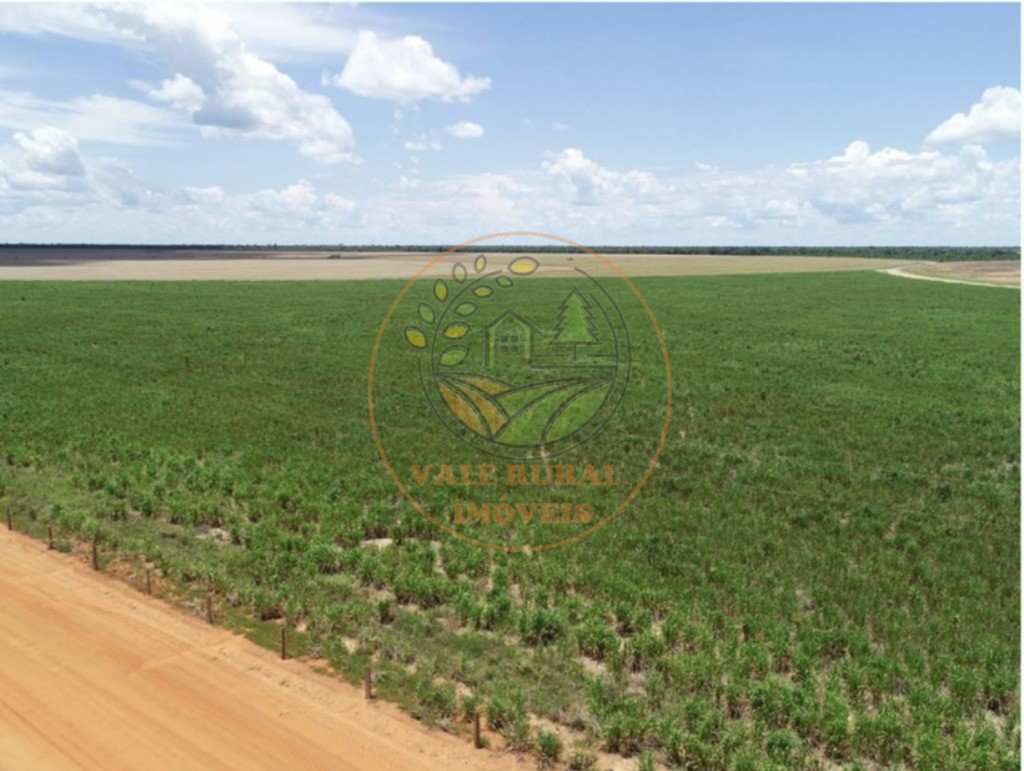 Fazenda - Foto 15
