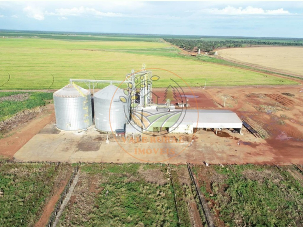 Fazenda - Foto 5