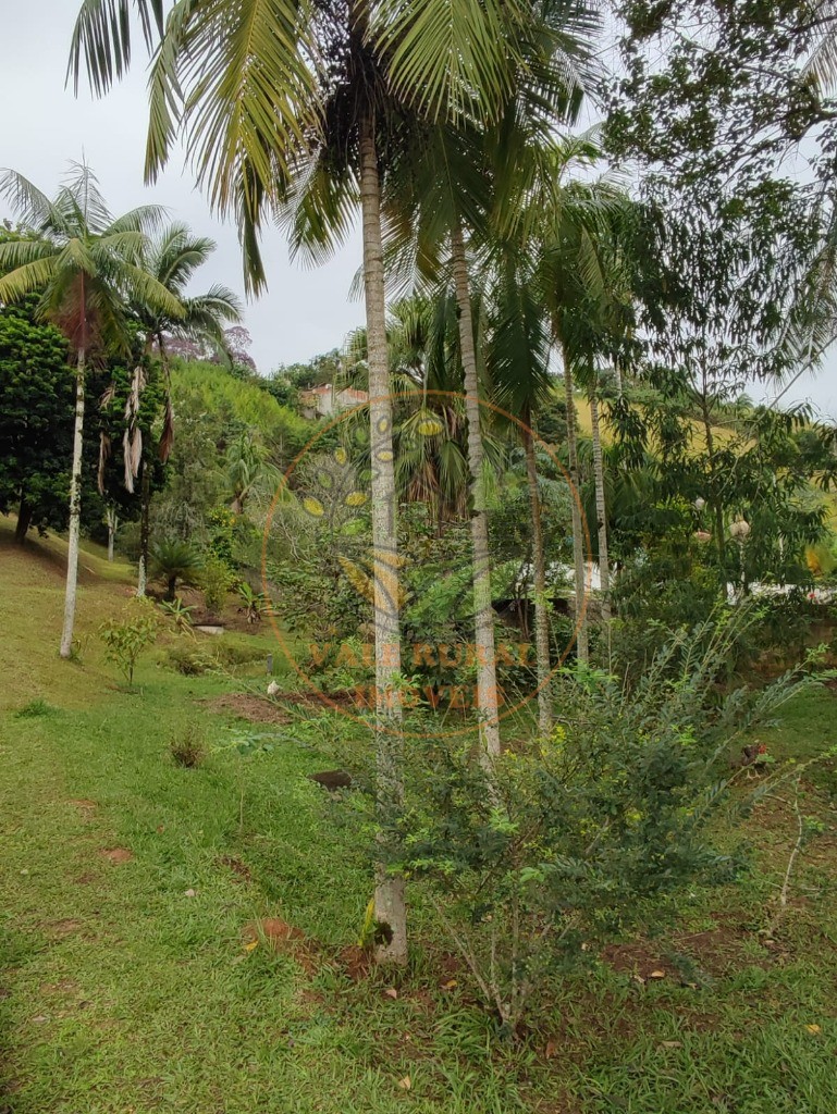 Chácara, 3 quartos - Foto 2