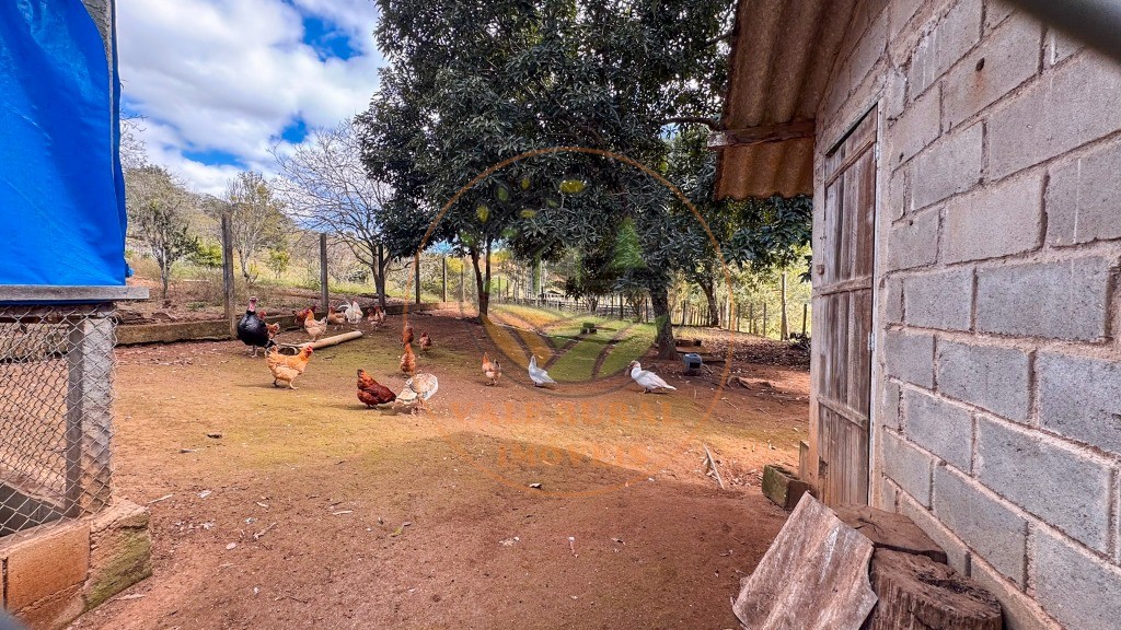 Fazenda, 4 quartos - Foto 87