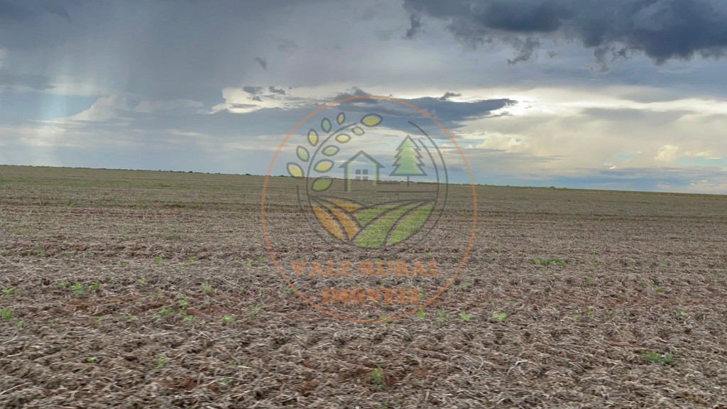 Fazenda - Foto 11