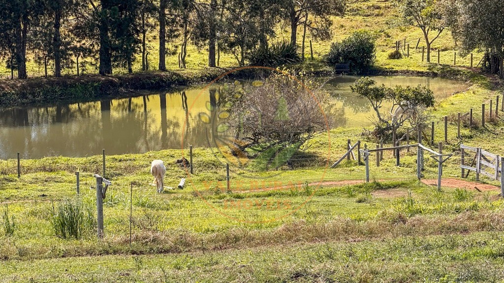 Fazenda, 4 quartos - Foto 4