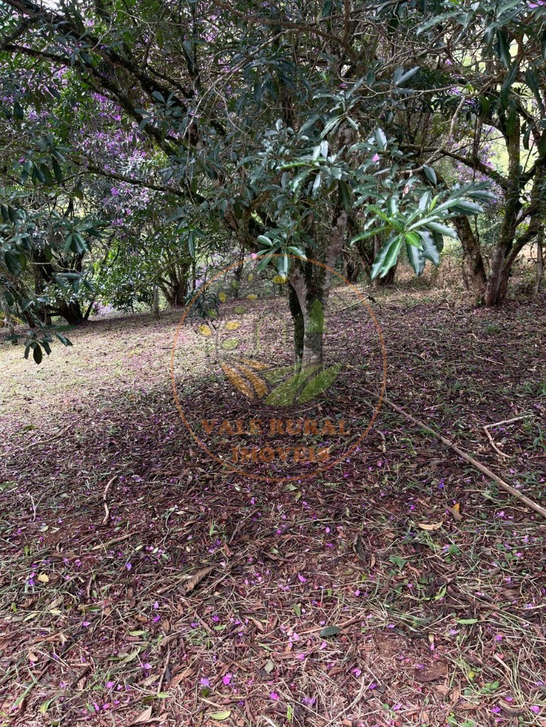 Terreno, 900 m² - Foto 5