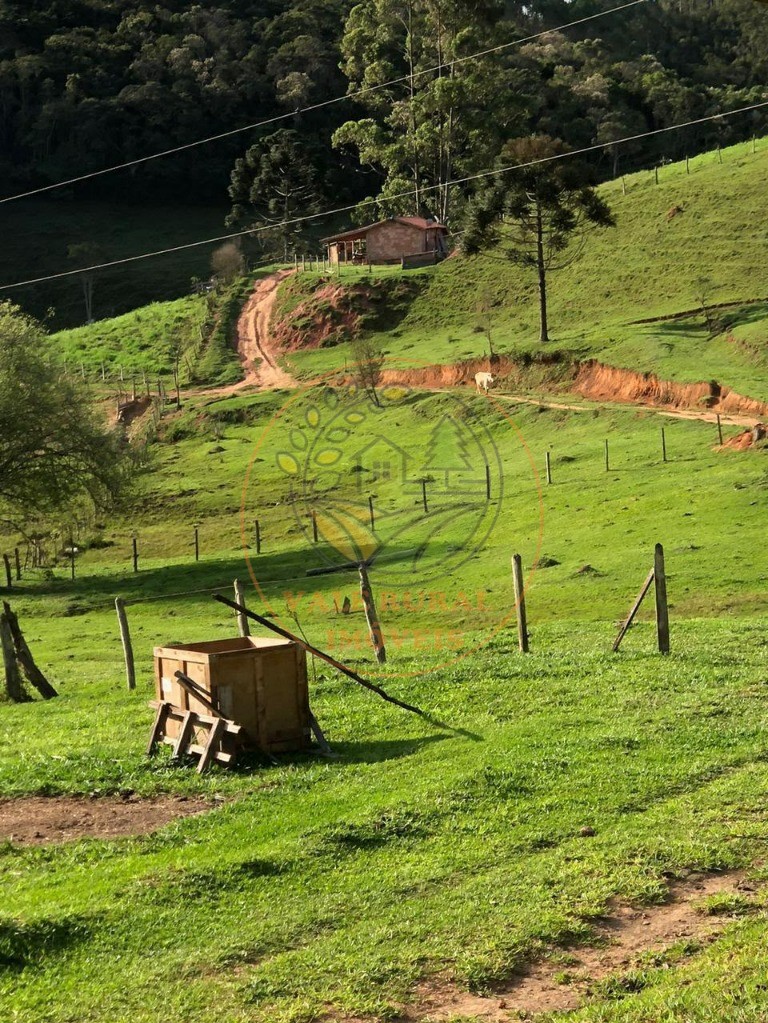 Sítio, 2 quartos - Foto 14