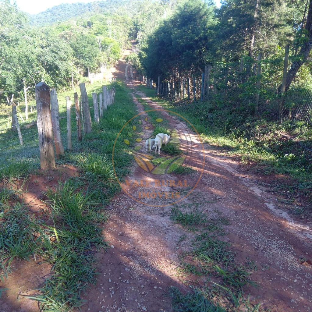 Chácara, 1 quarto - Foto 33