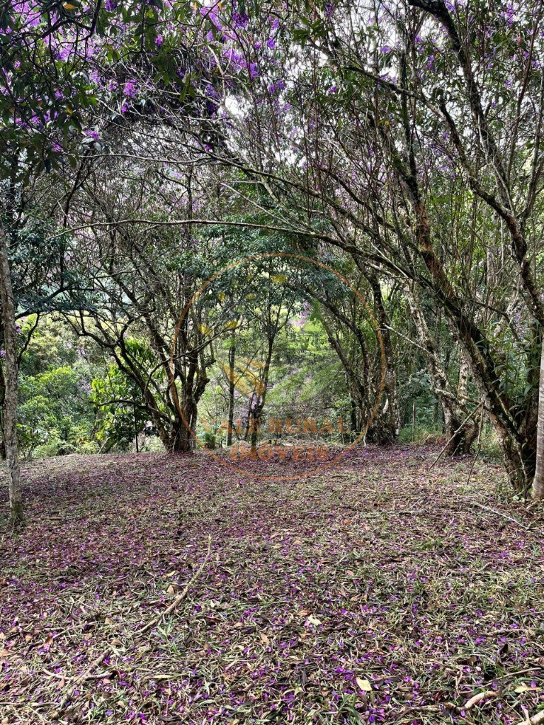 Terreno, 900 m² - Foto 4