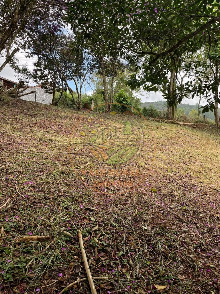 Terreno, 900 m² - Foto 6