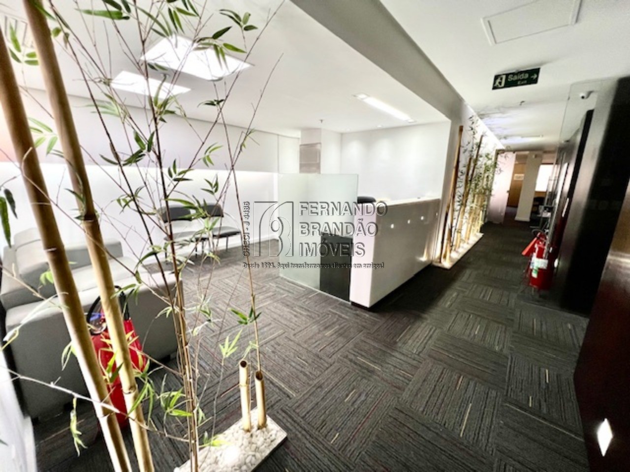 Sala-Conjunto, 541 m² - Foto 2