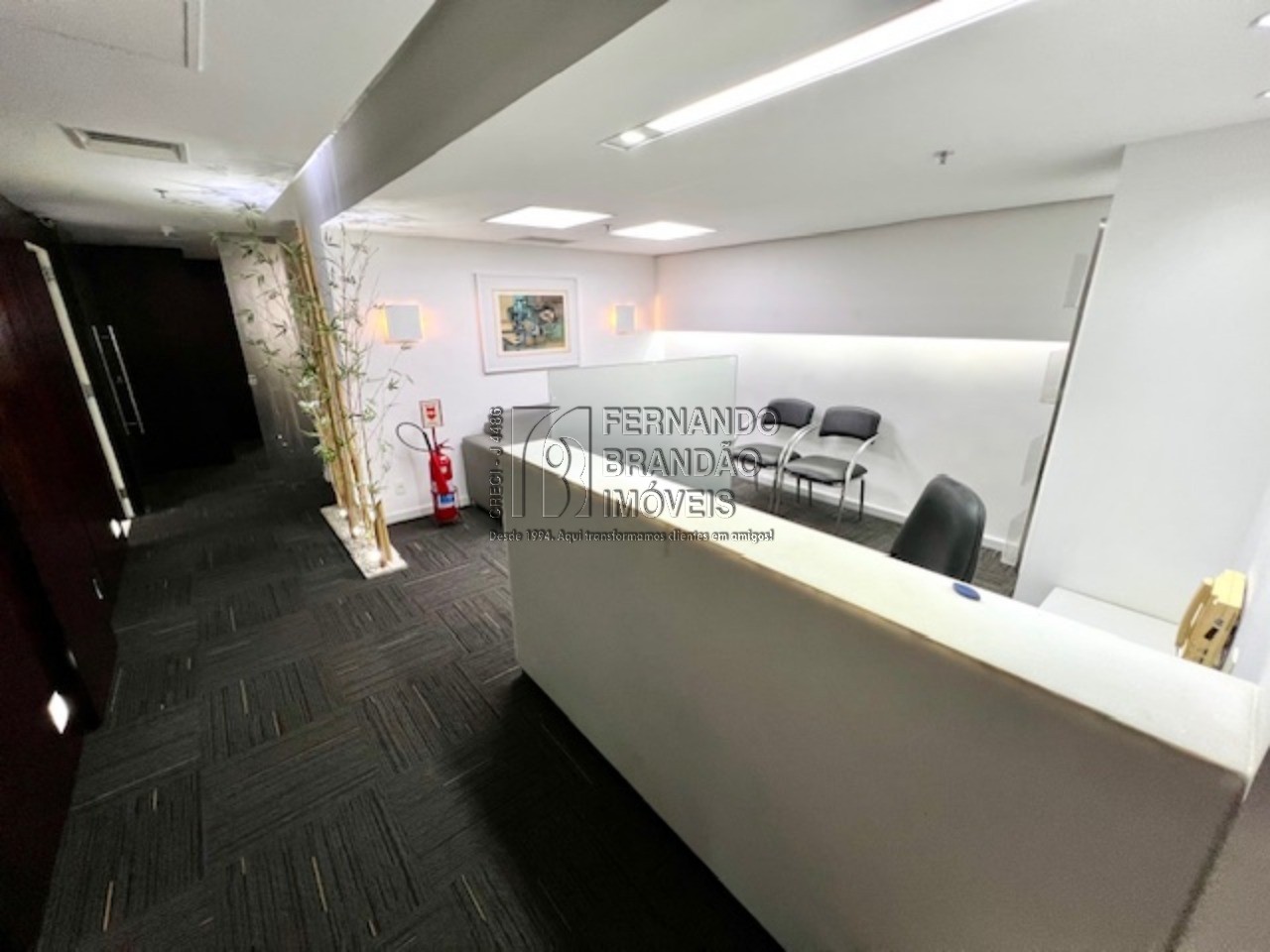 Sala-Conjunto, 541 m² - Foto 3