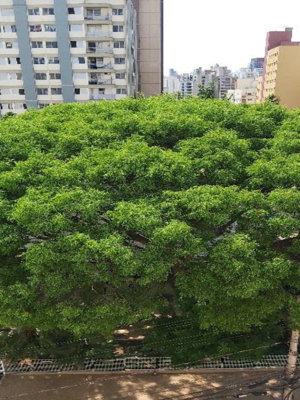 Apartamento, 2 quartos, 110 m² - Foto 15