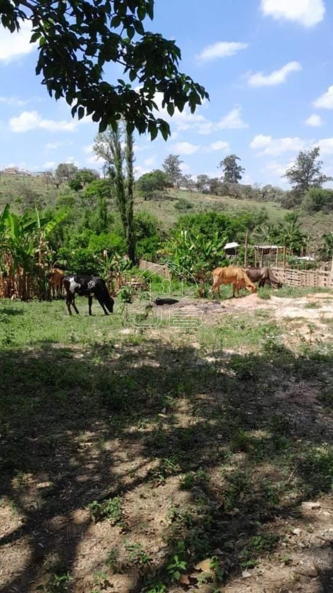 Terreno a venda no Parque Aeroporto, Campinas, SP.