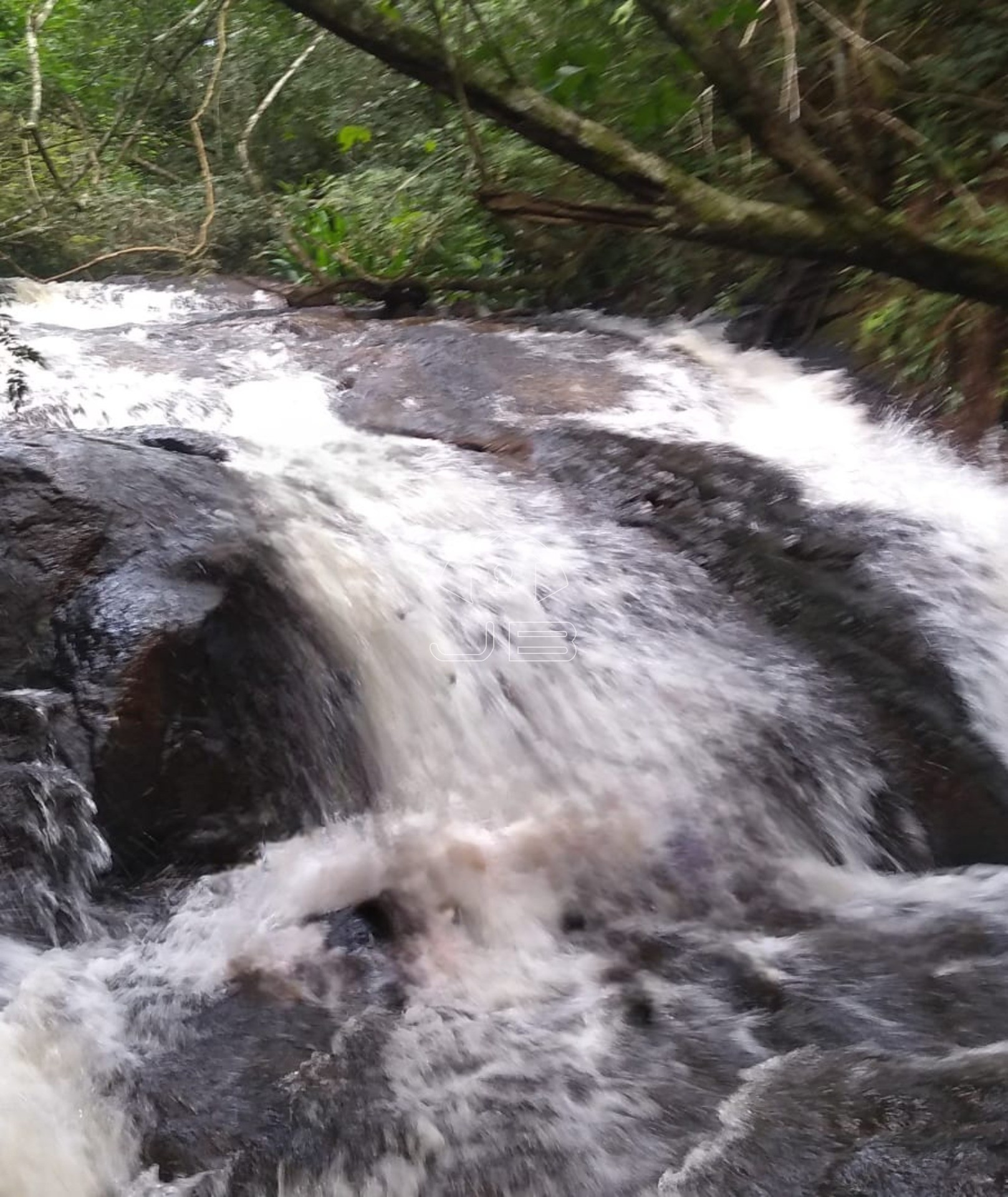 Sitio a venda em São Tomás de Aquino/MG