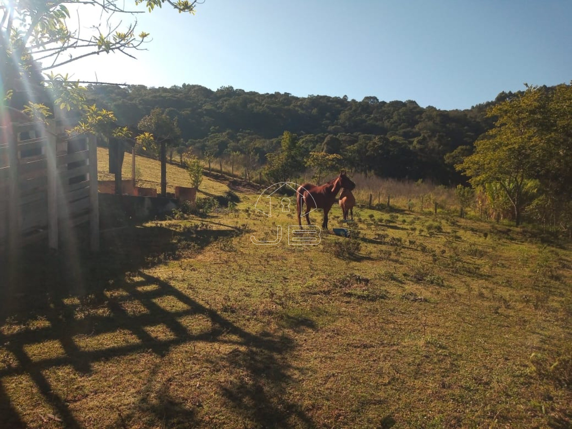 Sítio à venda em Munhoz-MG, bairro Bom Jardim: 1 quarto, 2 banheiros. Aproveite essa oportunidade!