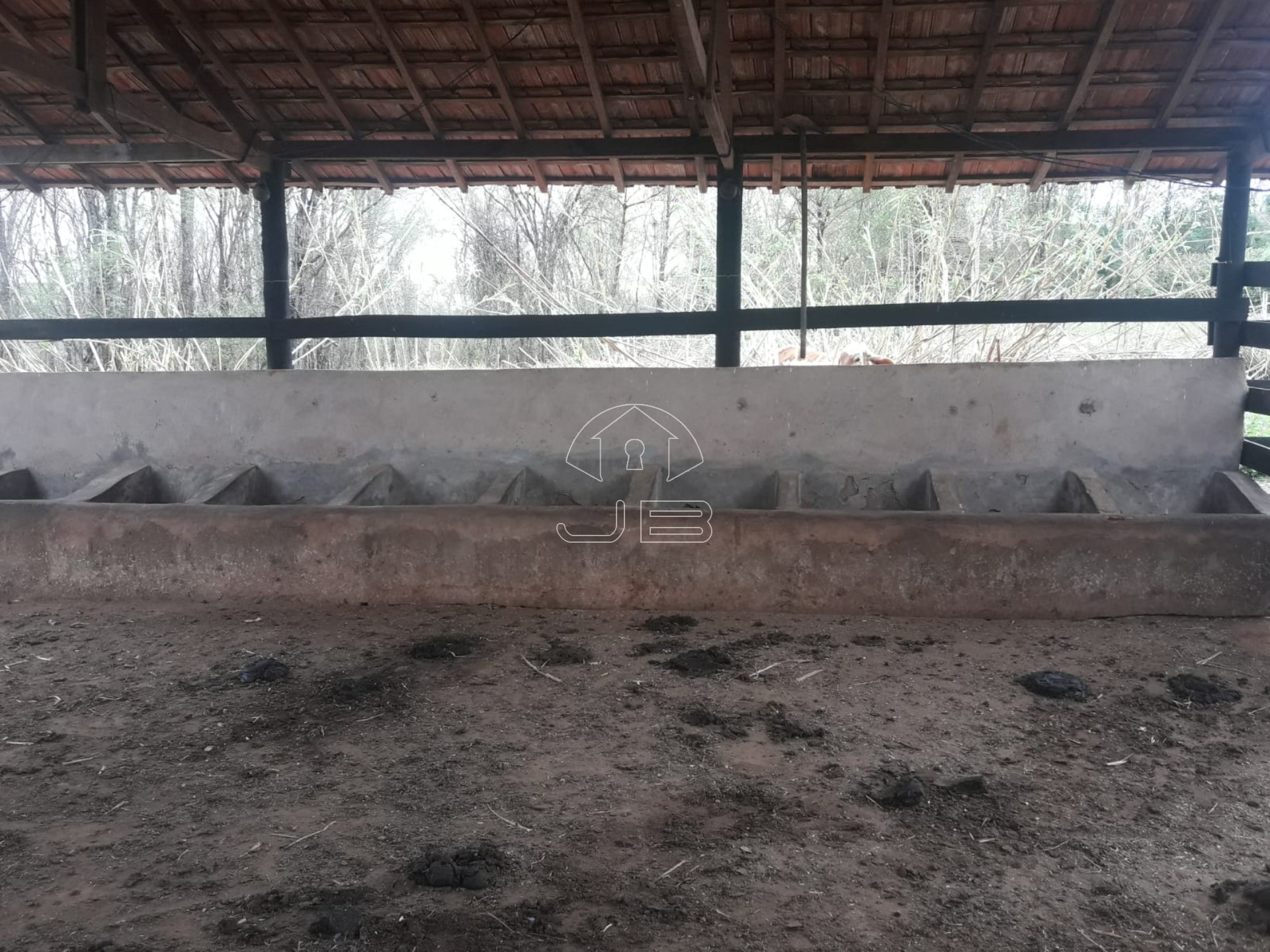 Sitio a venda em São Tomás de Aquino/MG