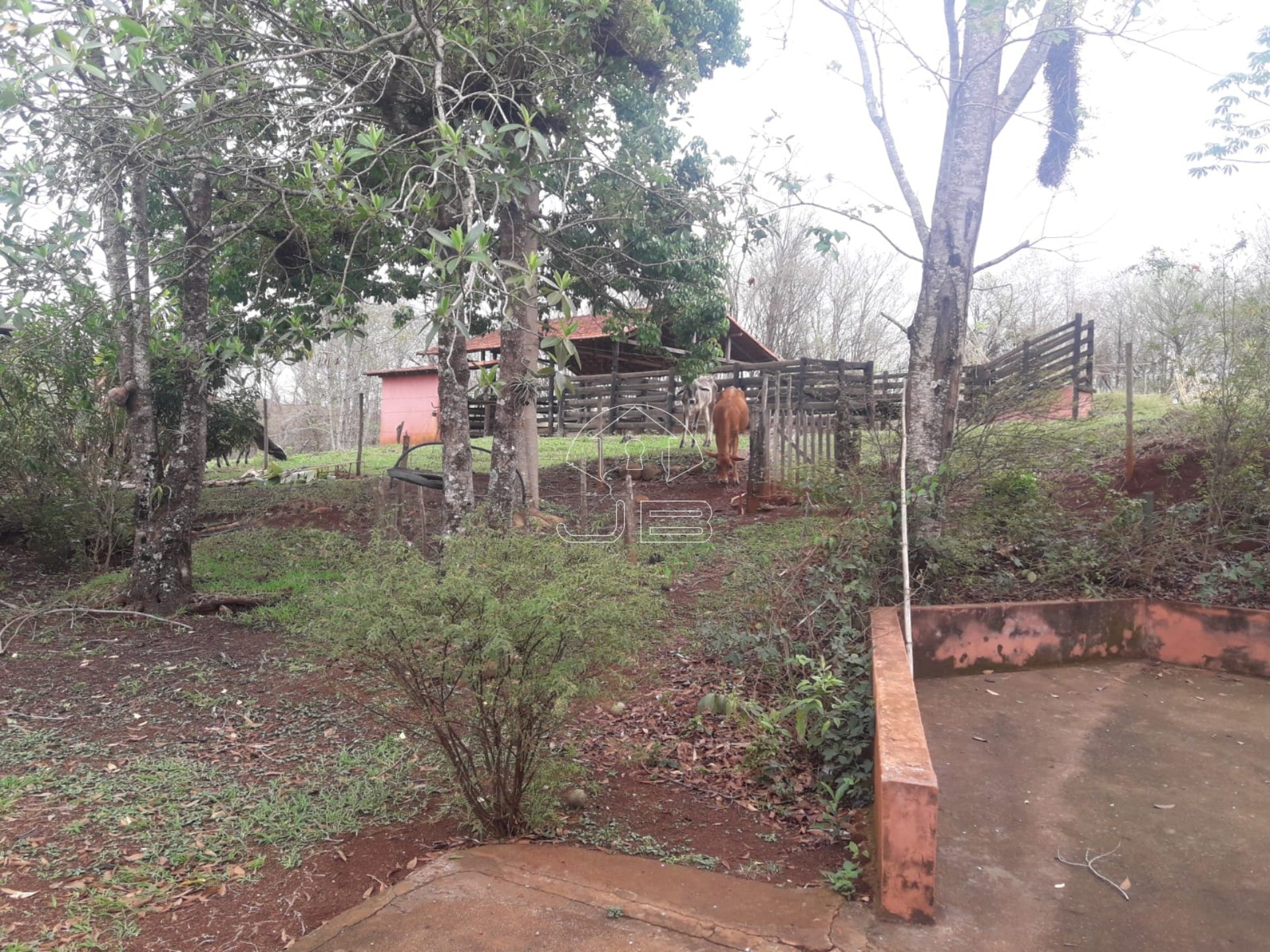 Sitio a venda em São Tomás de Aquino/MG