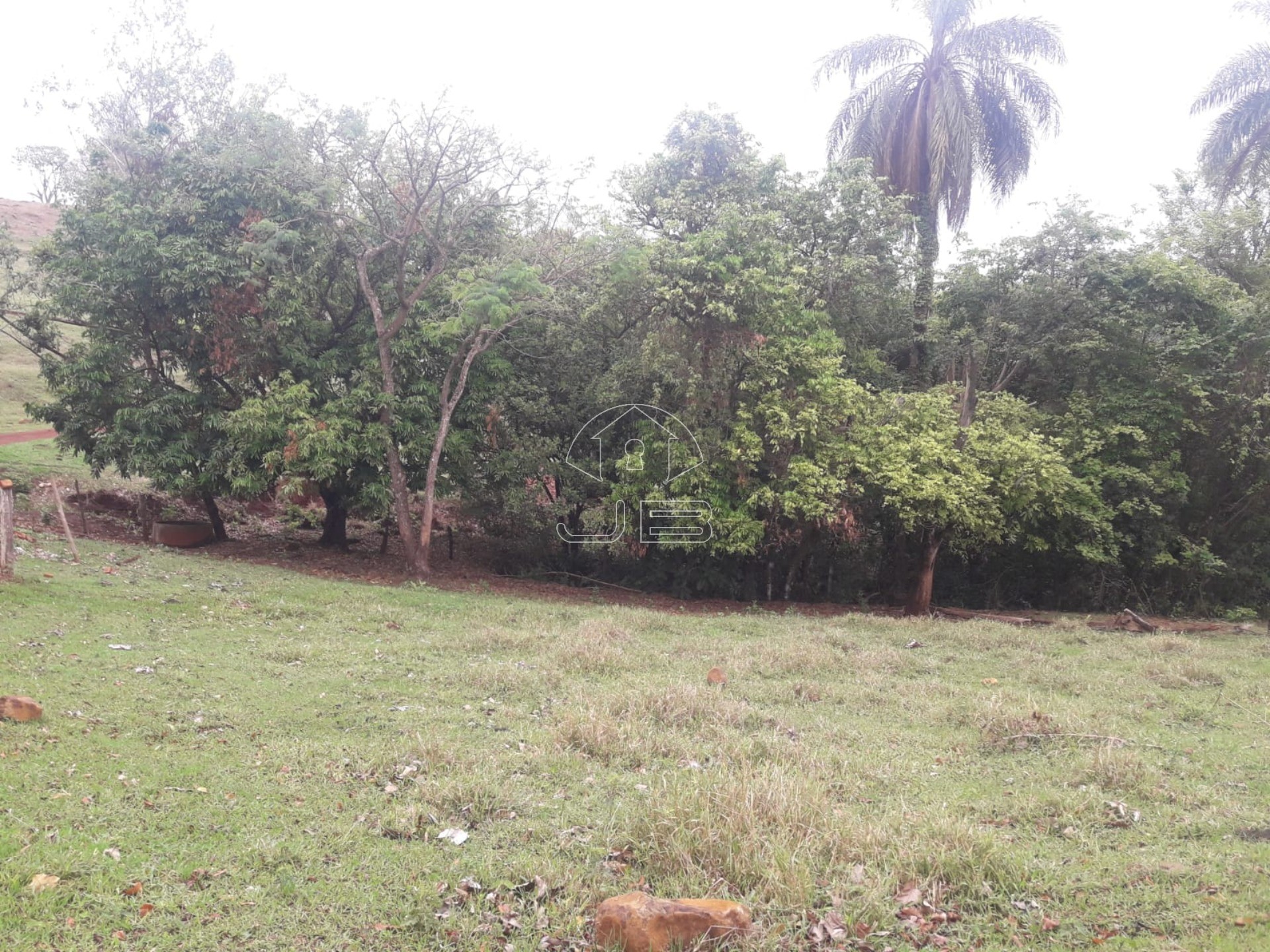 Sitio a venda em São Tomás de Aquino/MG