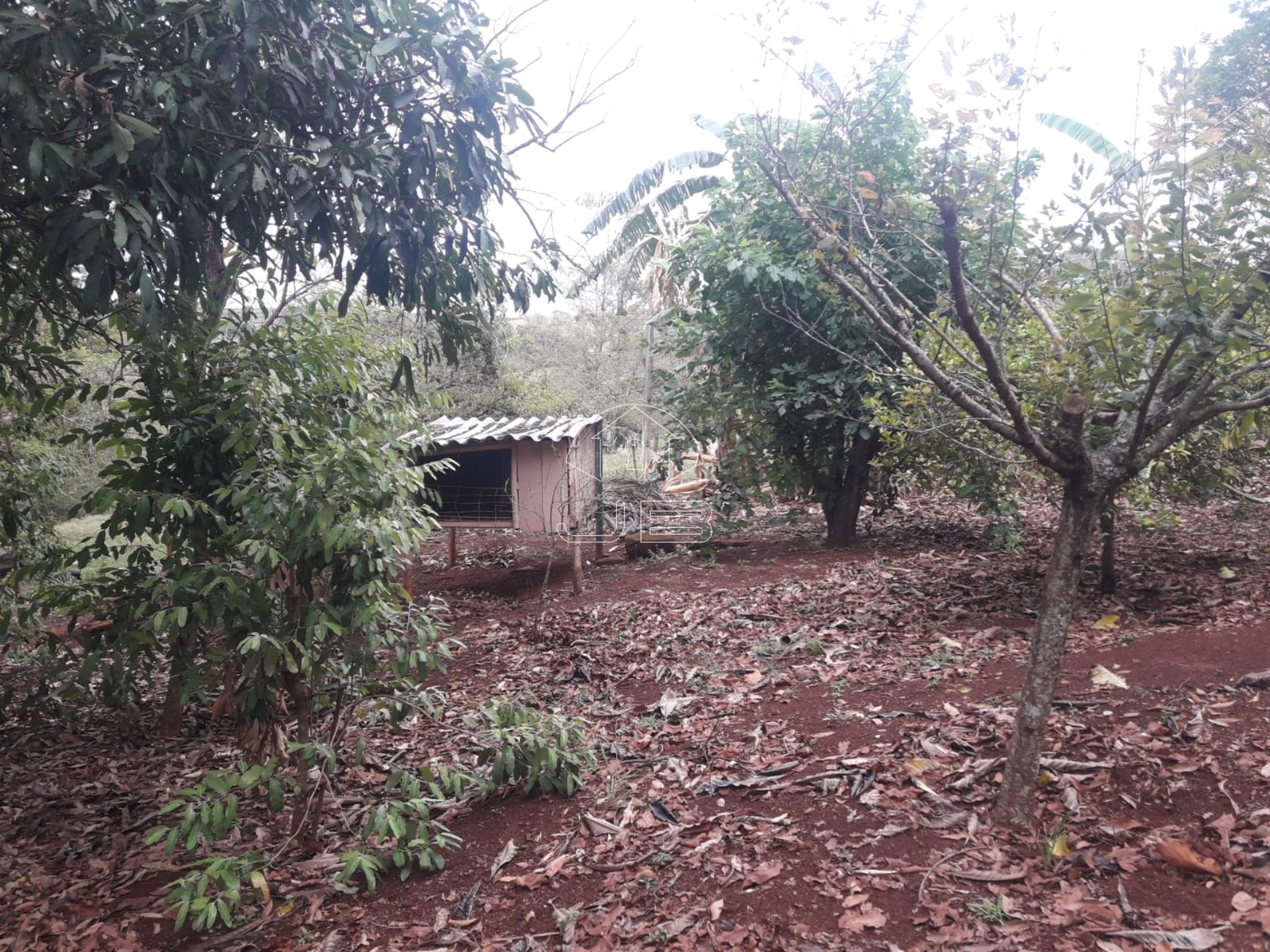 Sitio a venda em São Tomás de Aquino/MG