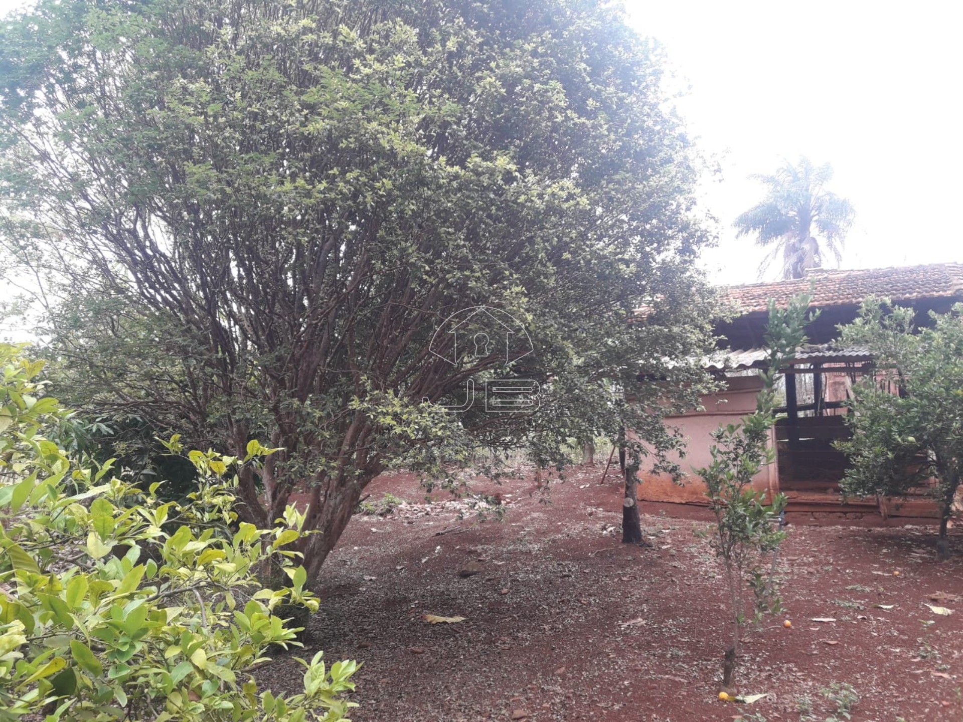 Sitio a venda em São Tomás de Aquino/MG