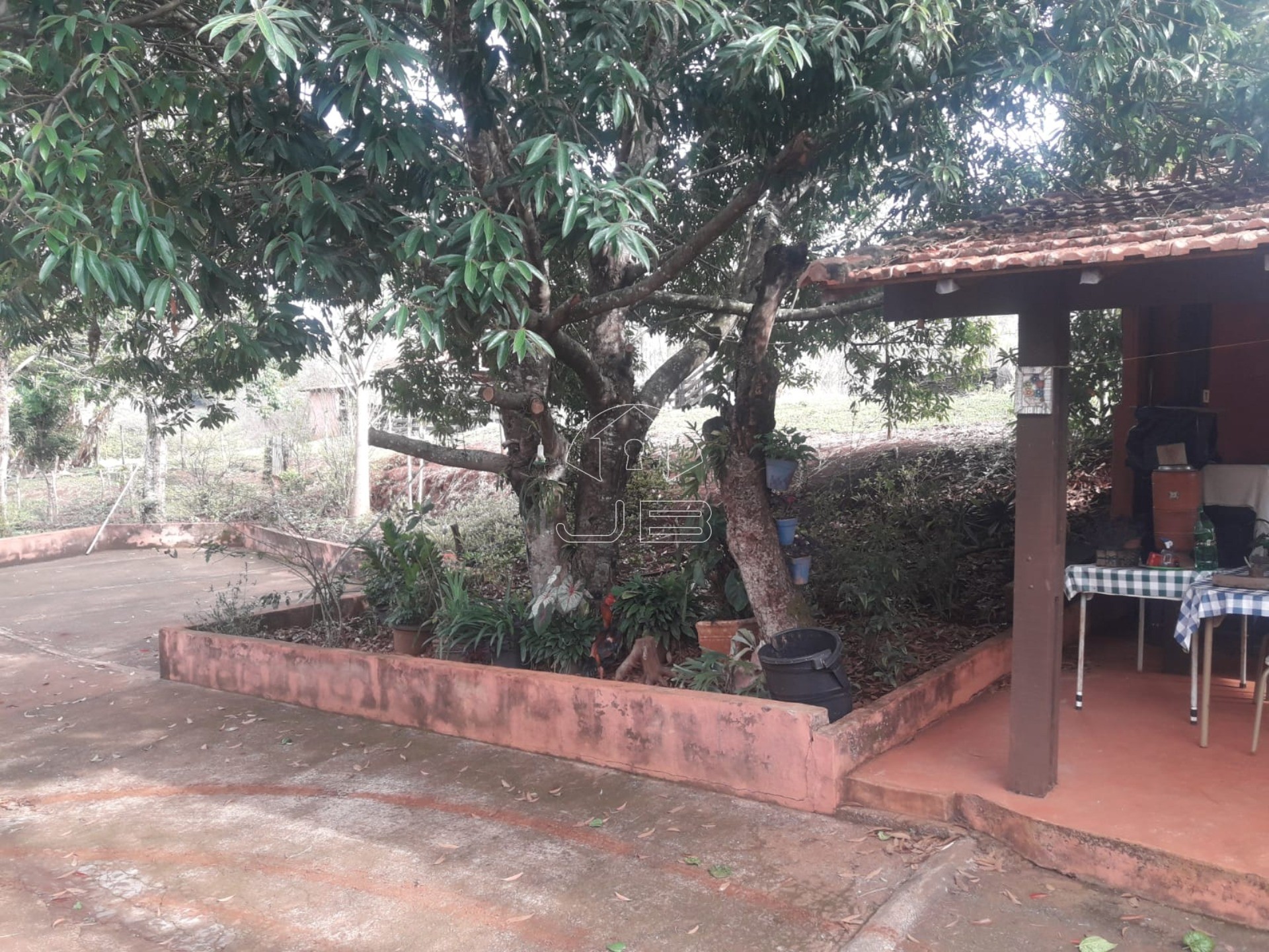 Sitio a venda em São Tomás de Aquino/MG