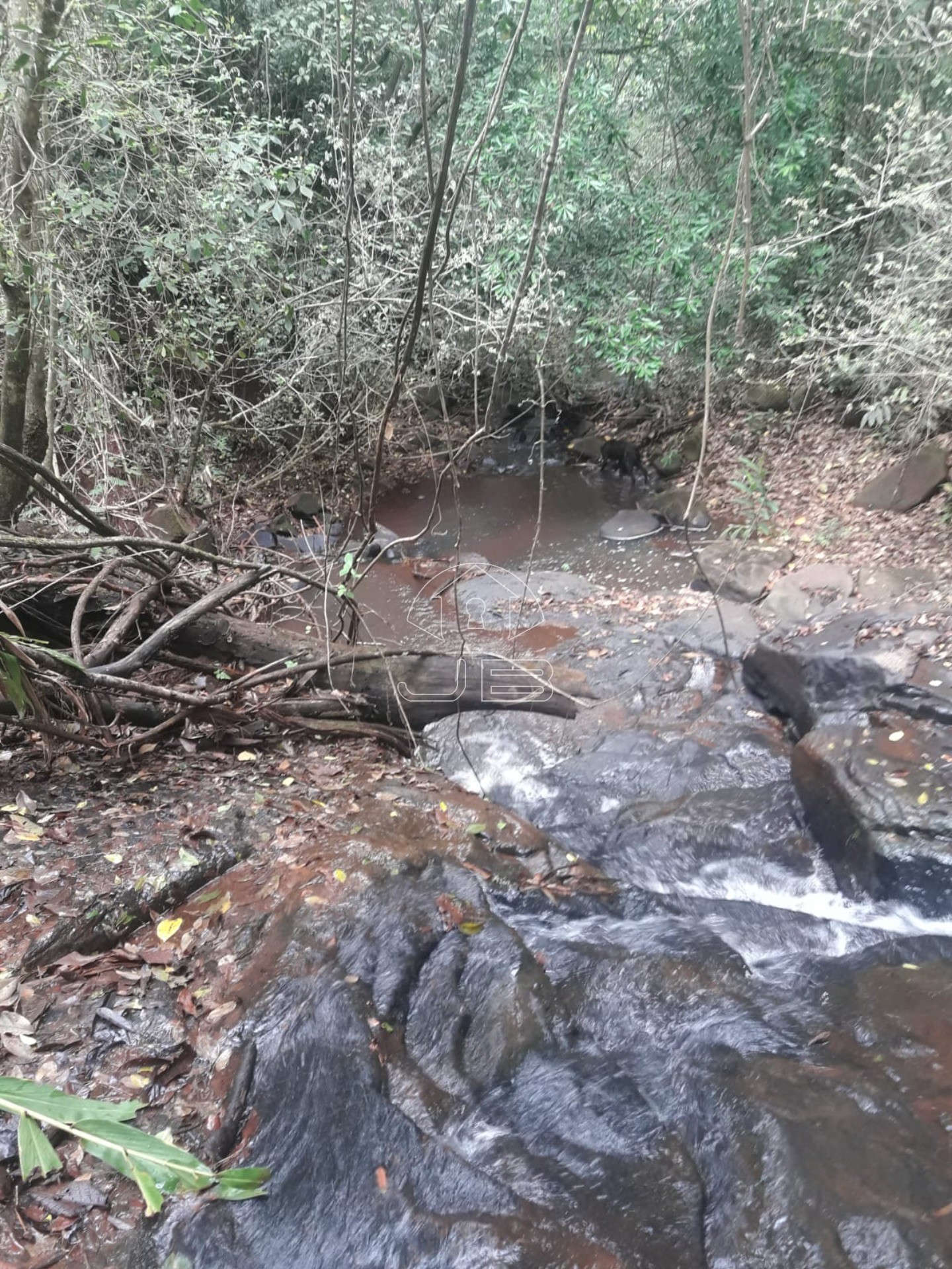 Sitio a venda em São Tomás de Aquino/MG