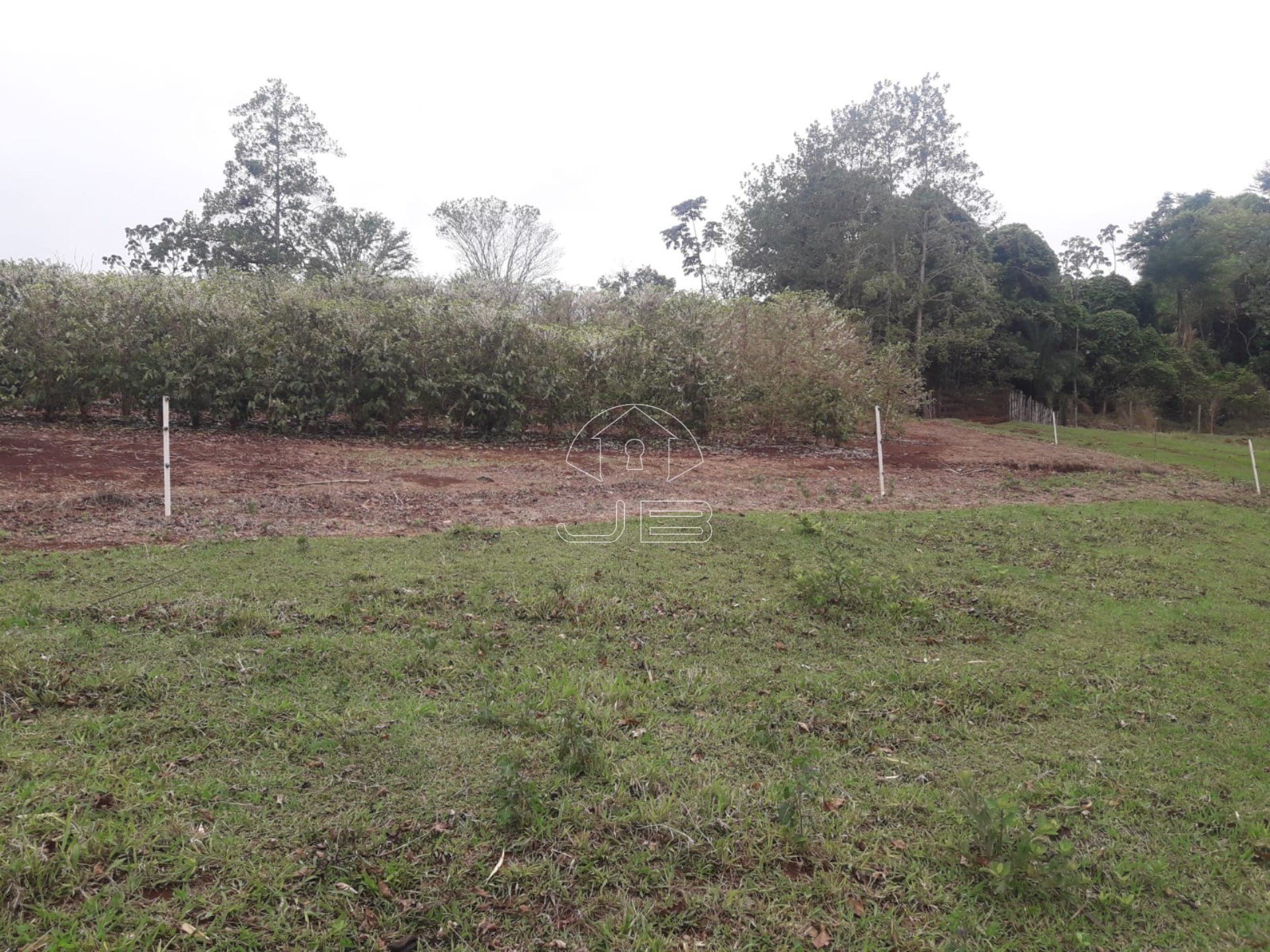 Sitio a venda em São Tomás de Aquino/MG