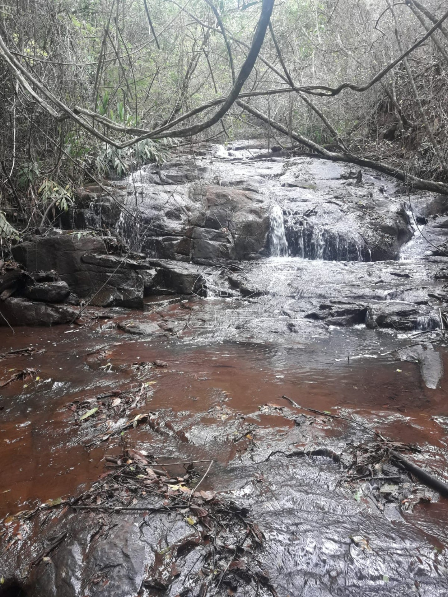 Sitio a venda em São Tomás de Aquino/MG
