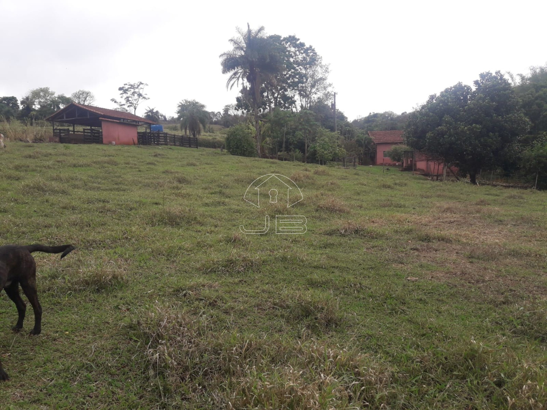 Sitio a venda em São Tomás de Aquino/MG