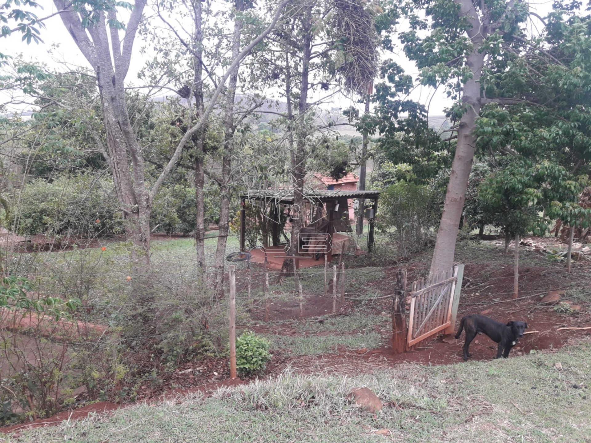 Sitio a venda em São Tomás de Aquino/MG