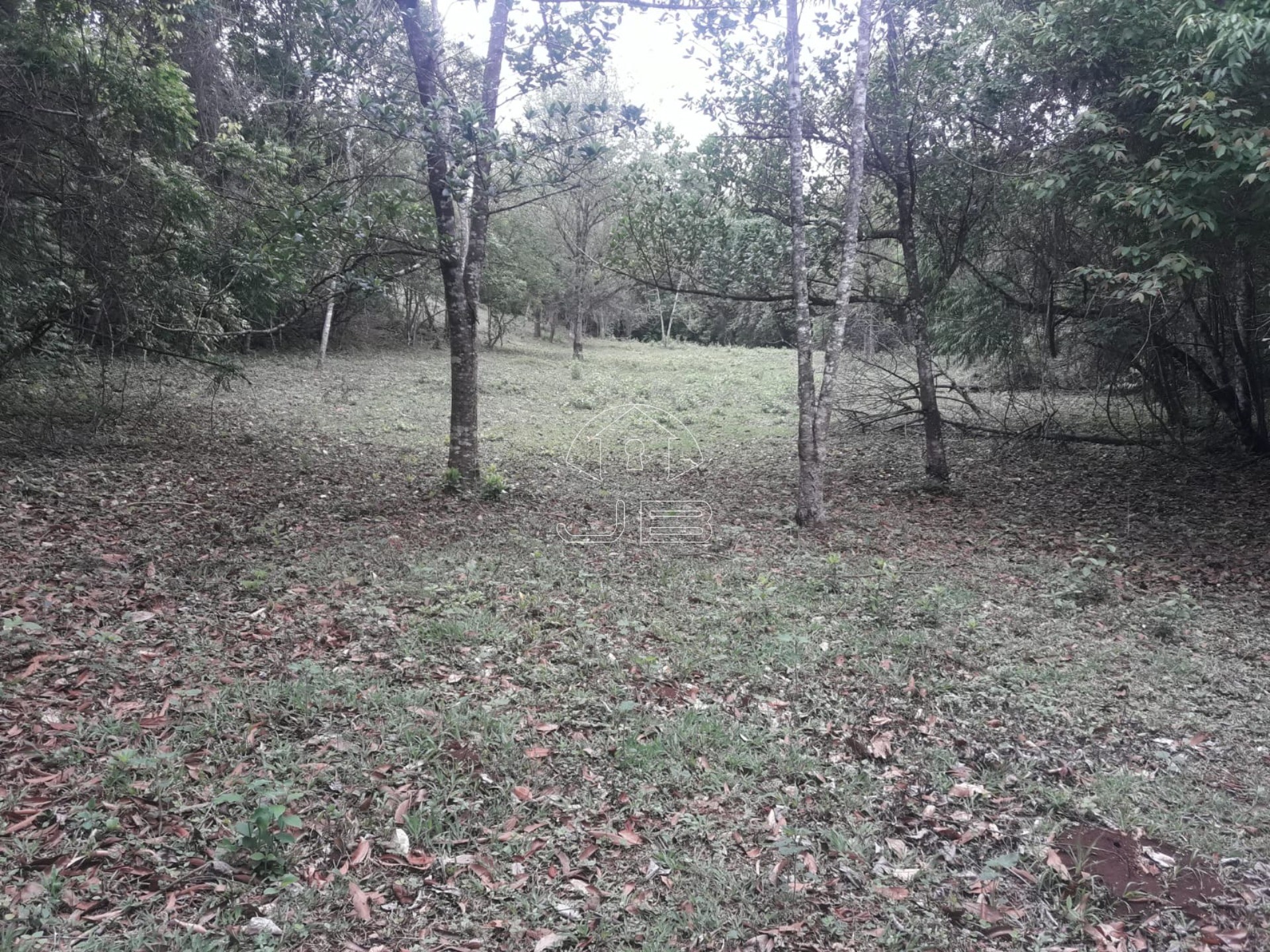 Sitio a venda em São Tomás de Aquino/MG
