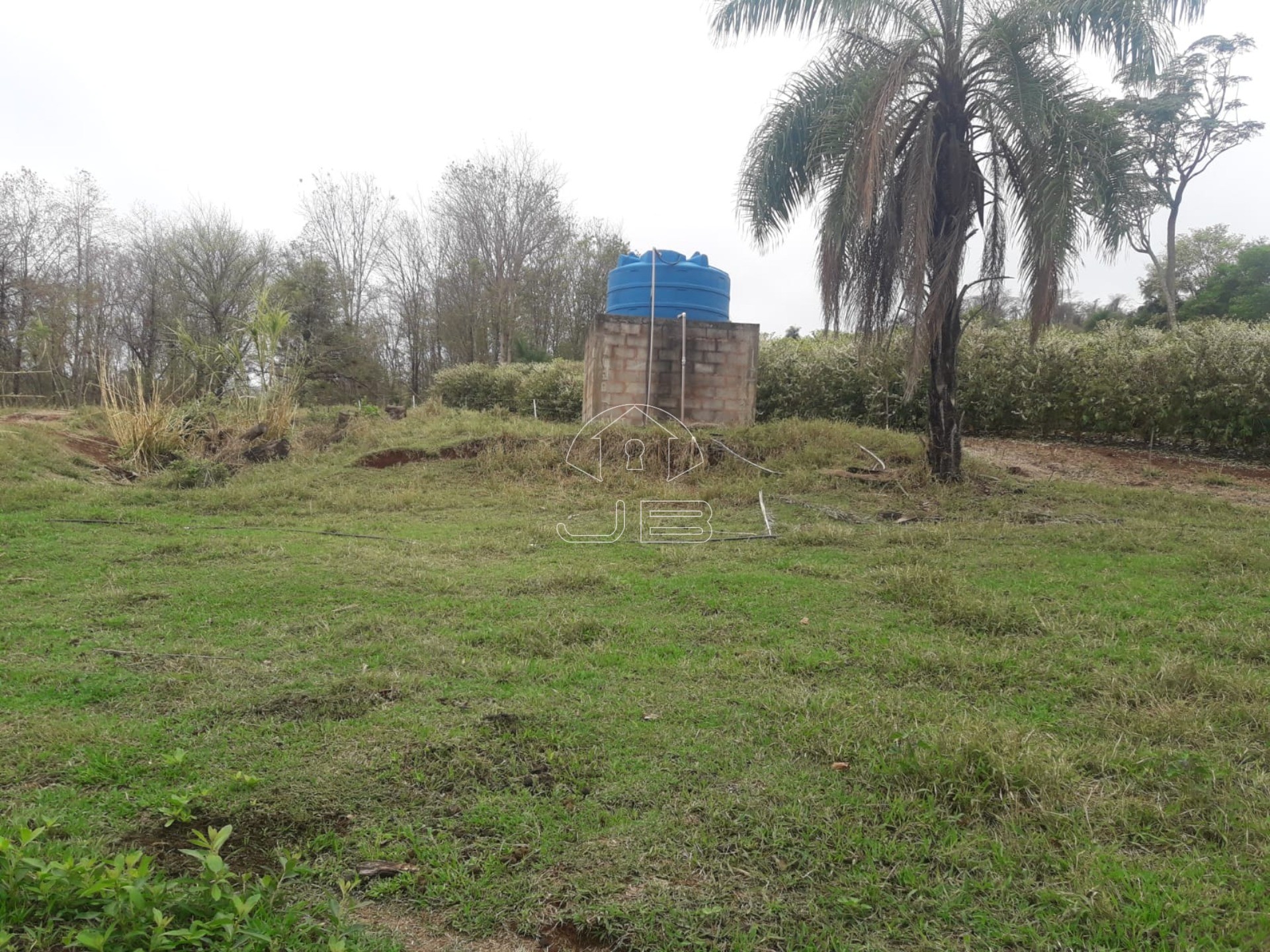 Sitio a venda em São Tomás de Aquino/MG