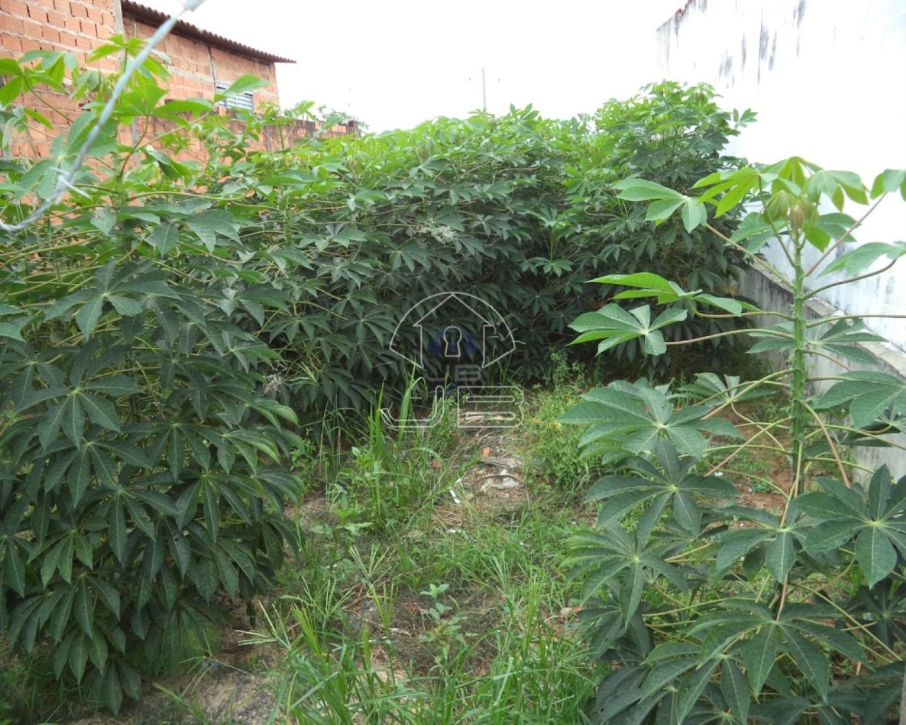 TERRENO A VENDA BAIRRO NOVA EUROPA, HORTOLÂNDIA, SP.