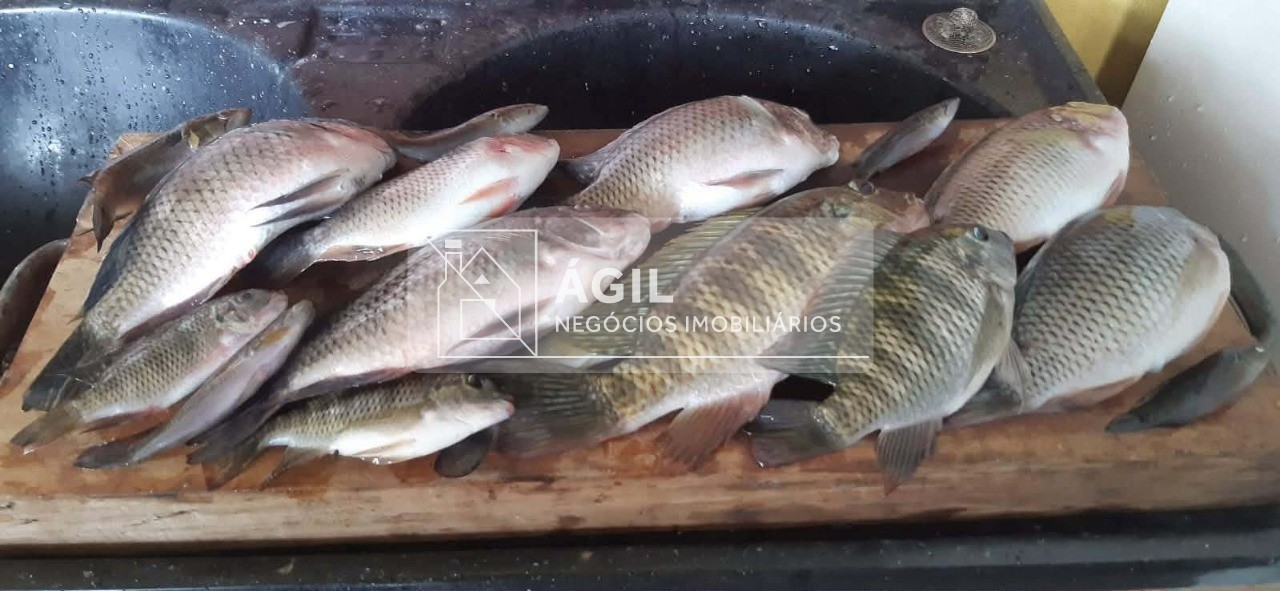 Vendo chácara em santa branca pé na água - 2 dormitórios - u