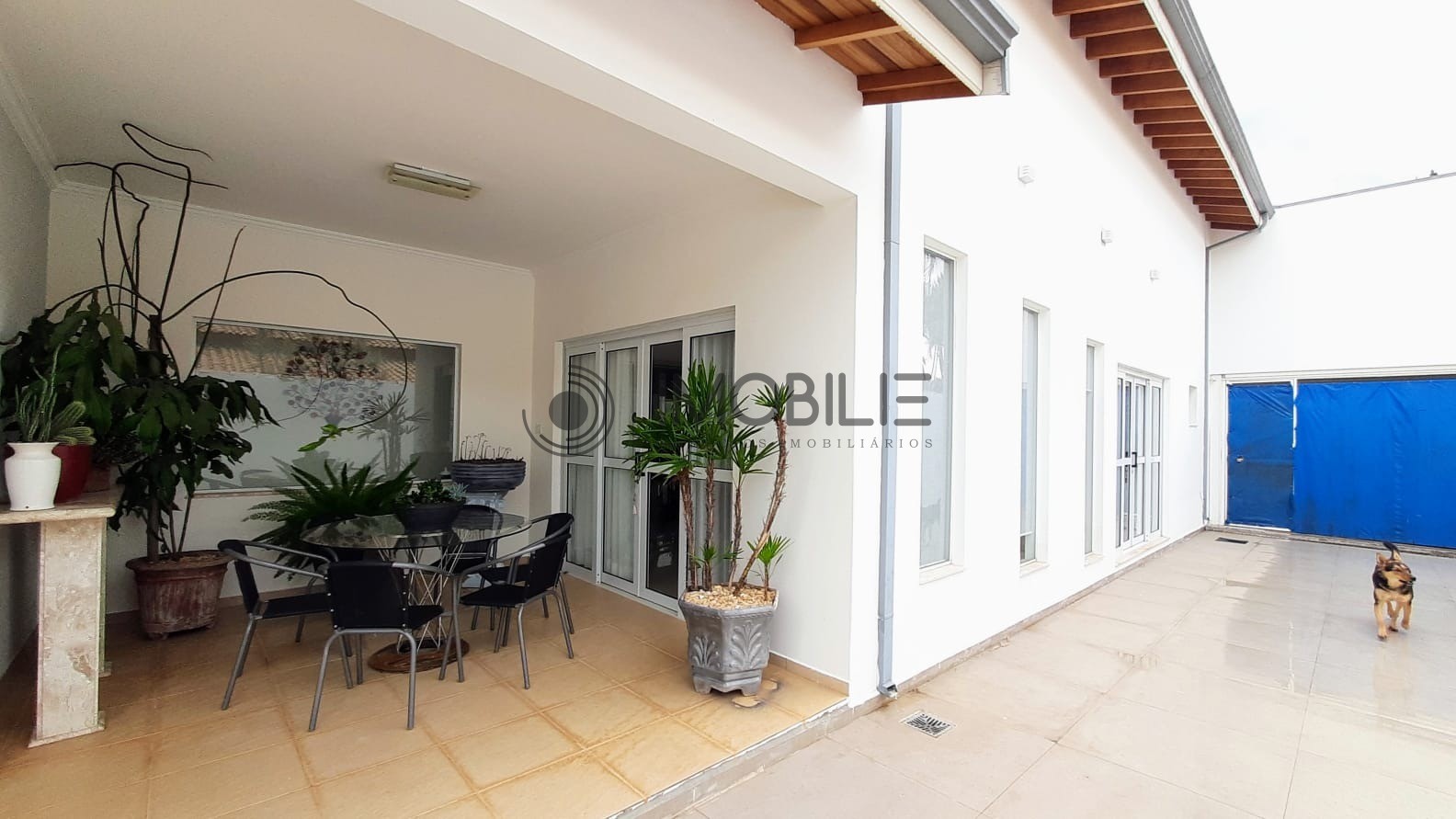 Chácara, 4 quartos, 434 m² - Foto 7