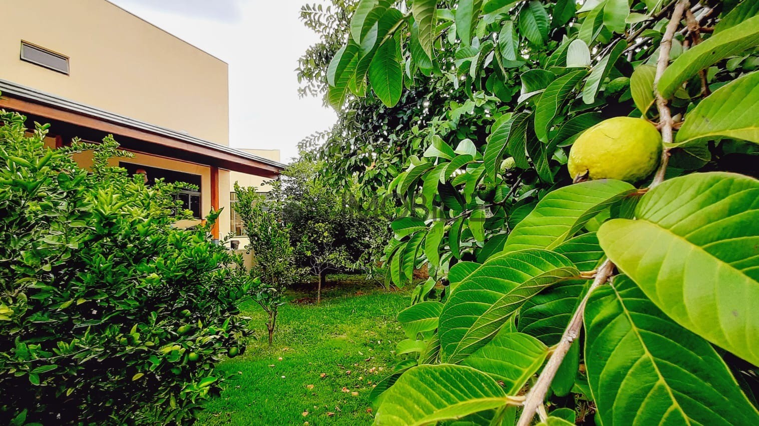 Casa, 6 quartos, 777 m² - Foto 12