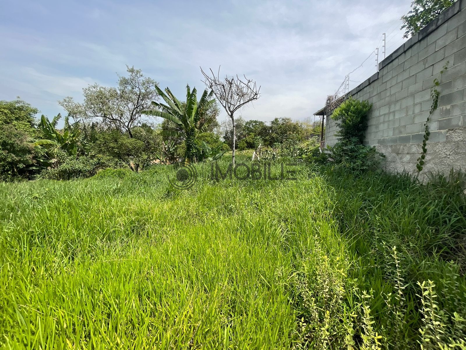 Terreno, 1000 m² - Foto 2