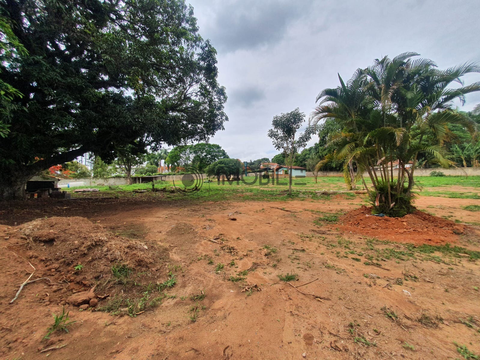 Terreno, 5000 m² - Foto 1