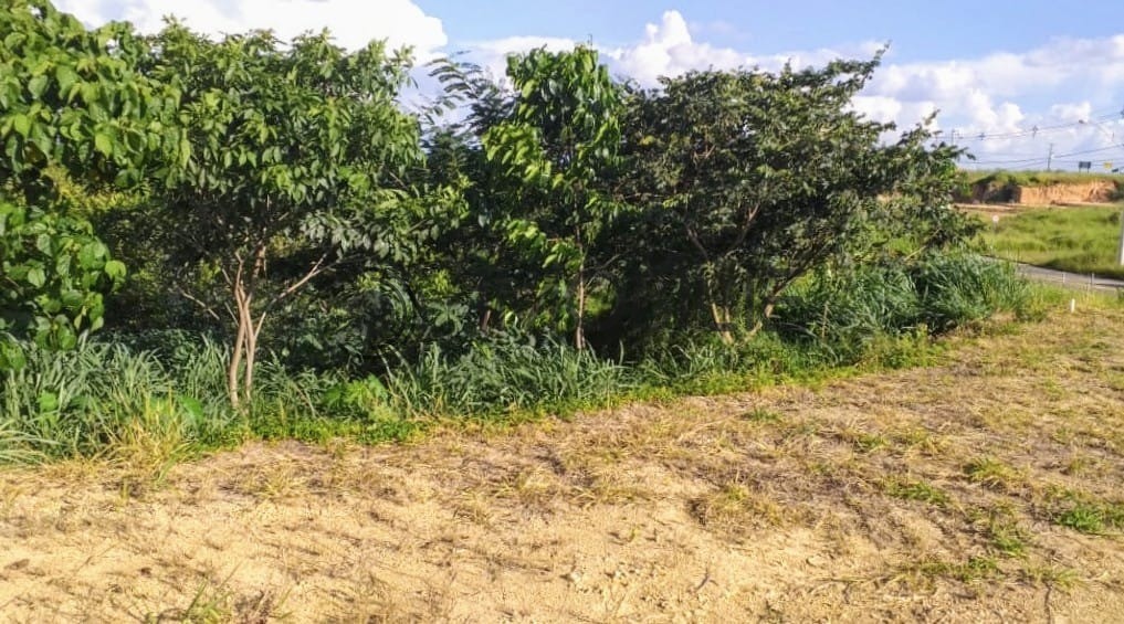 Terreno, 337 m² - Foto 4