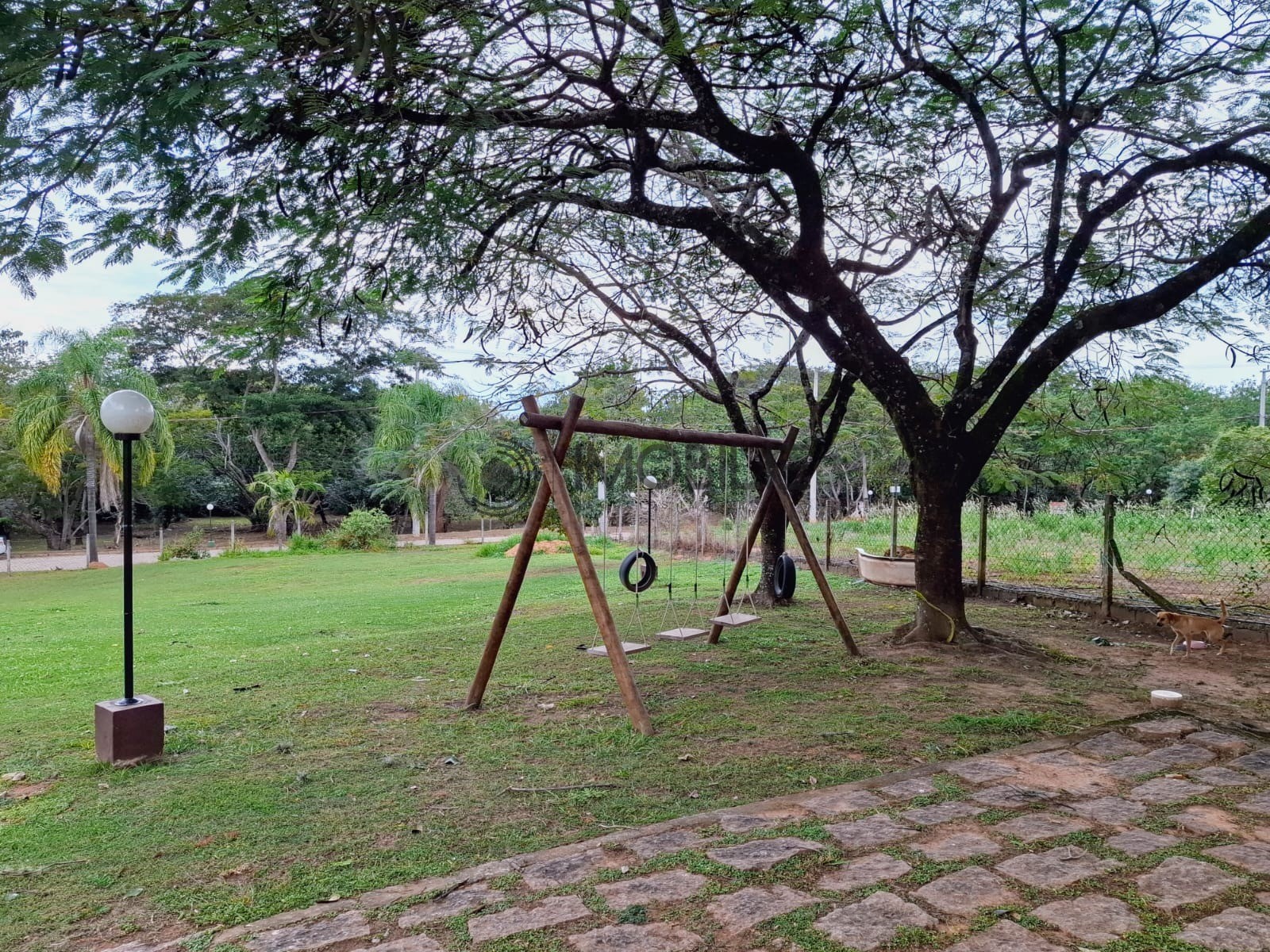 Chácara, 4 quartos, 590 m² - Foto 5