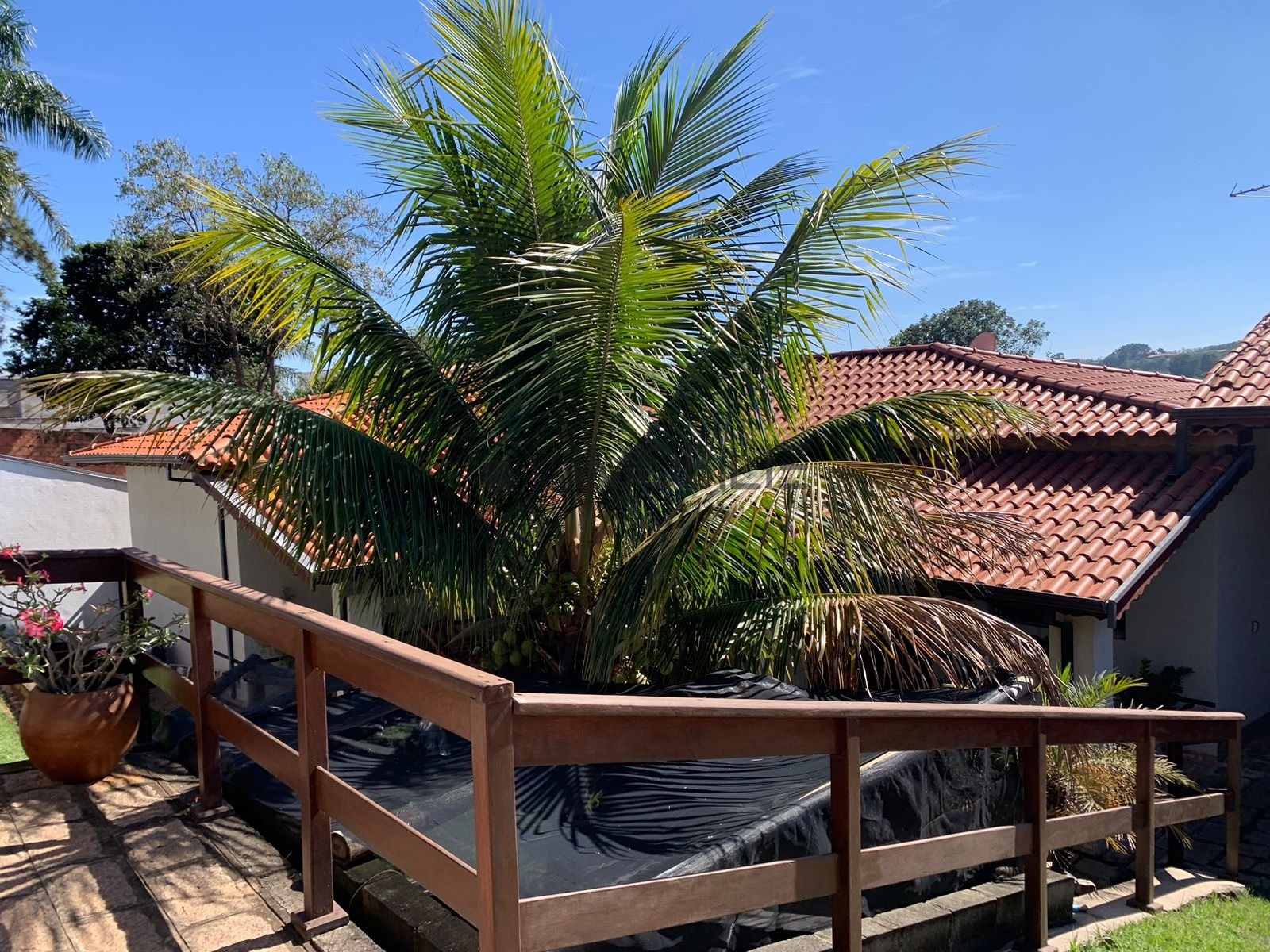 Chácara, 3 quartos, 245 m² - Foto 3