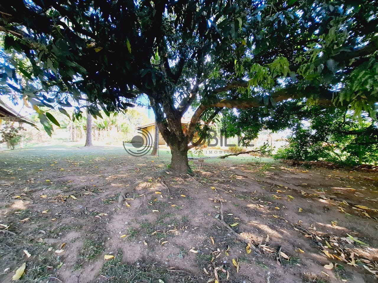 Chácara, 3 quartos, 350 m² - Foto 32