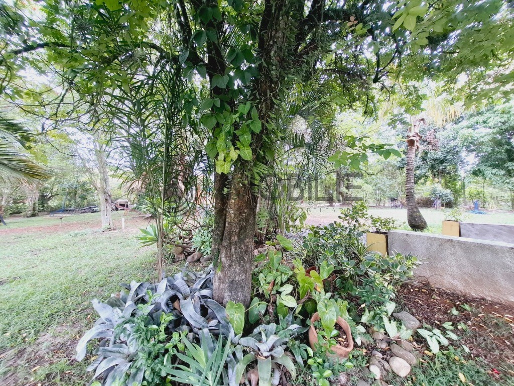 Chácara, 2 quartos, 176 m² - Foto 14