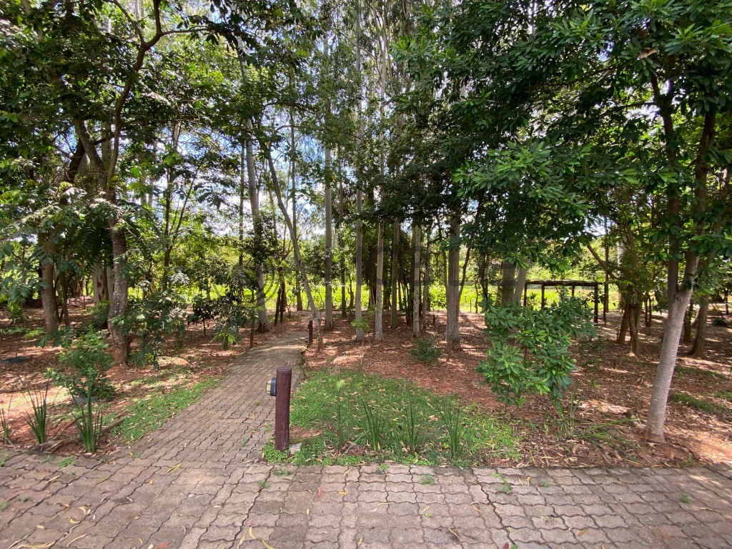Terreno, 300 m² - Foto 14